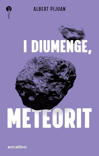 Coberta de «I diumenge, meteorit»