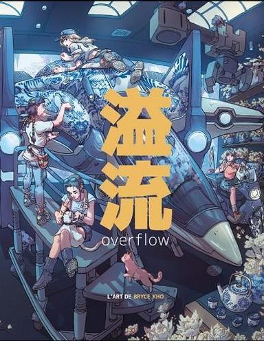 Coberta de «Overflow»