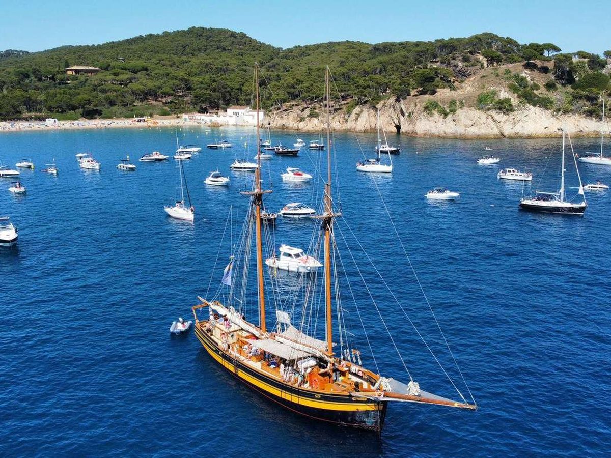 Hora i mitja daurada TOUR