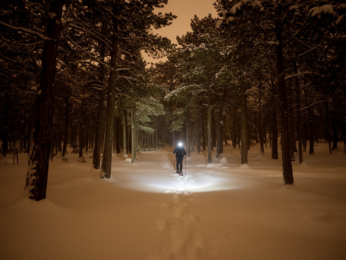 Excursió nocturna amb raquetes de neu
